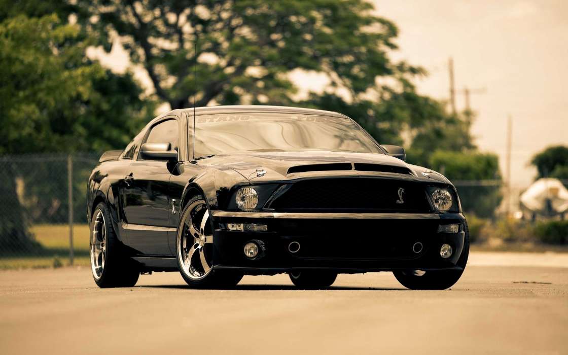 Mustang,Transports,Voitures
