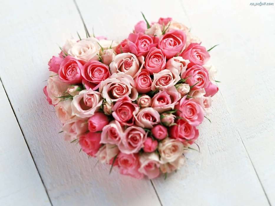 Fêtes,Plantes,Fleurs,Roses,Cœurs,Saint Valentin,Bouquets