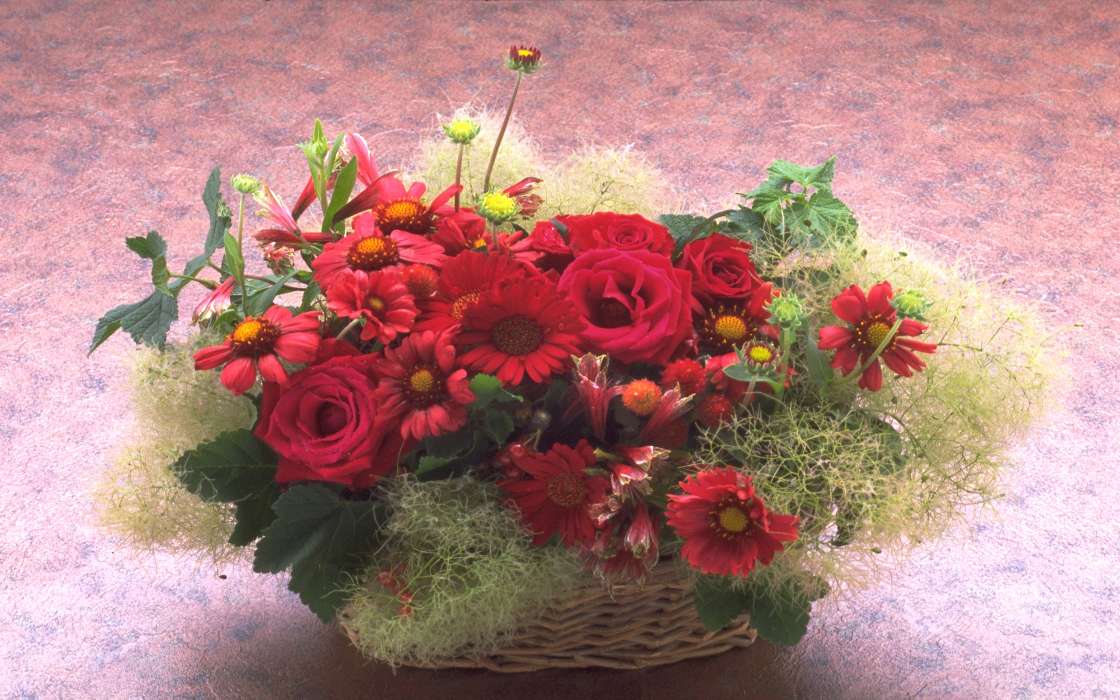 Fêtes,Plantes,Fleurs,Roses,Chrysanthème,Bouquets