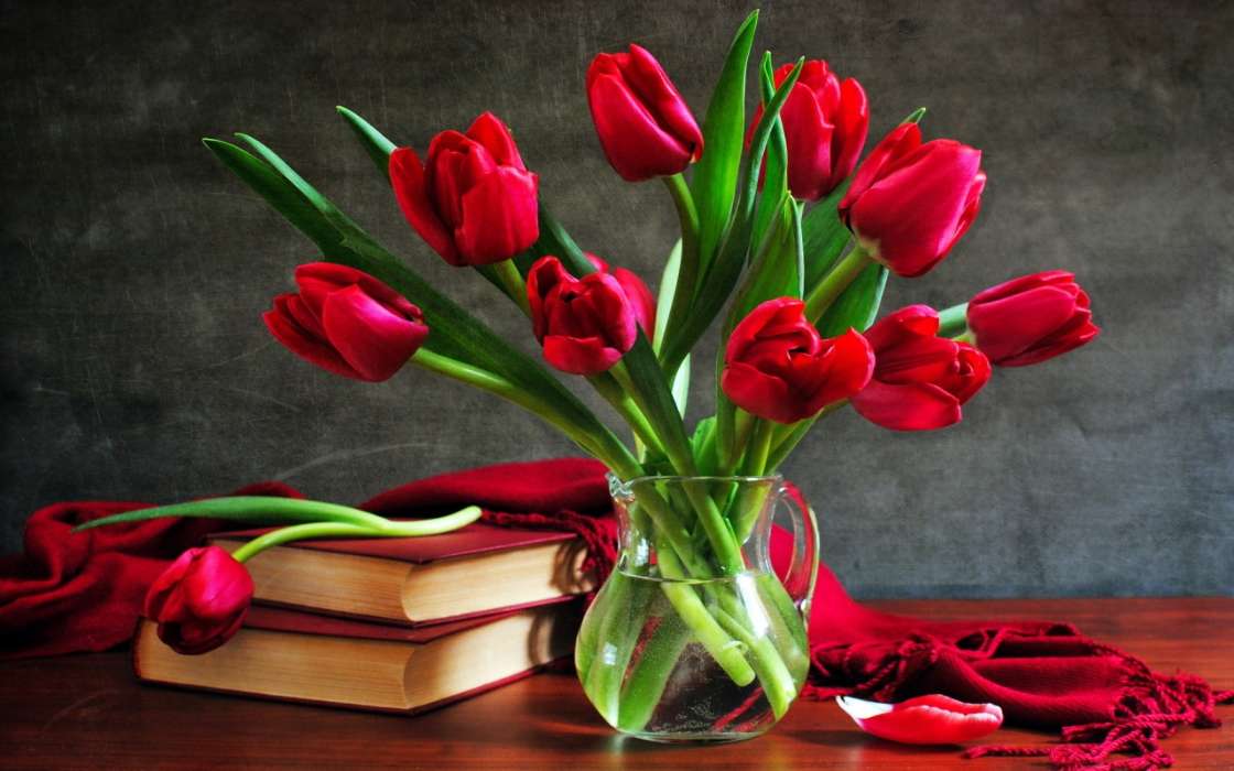 Tulipes,Bouquets,Livres,Still life,Plantes,Fleurs