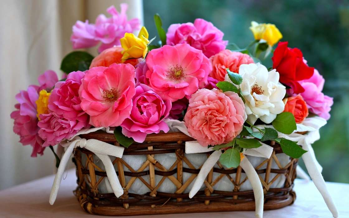 Bouquets,Fleurs,Plantes