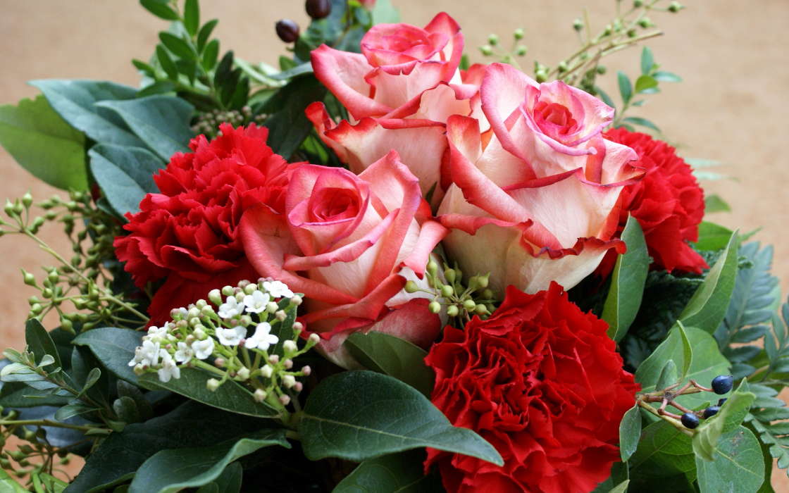 Bouquets,Fleurs,Plantes,Roses