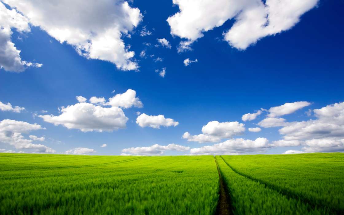Paysage,Herbe,Sky,Routes