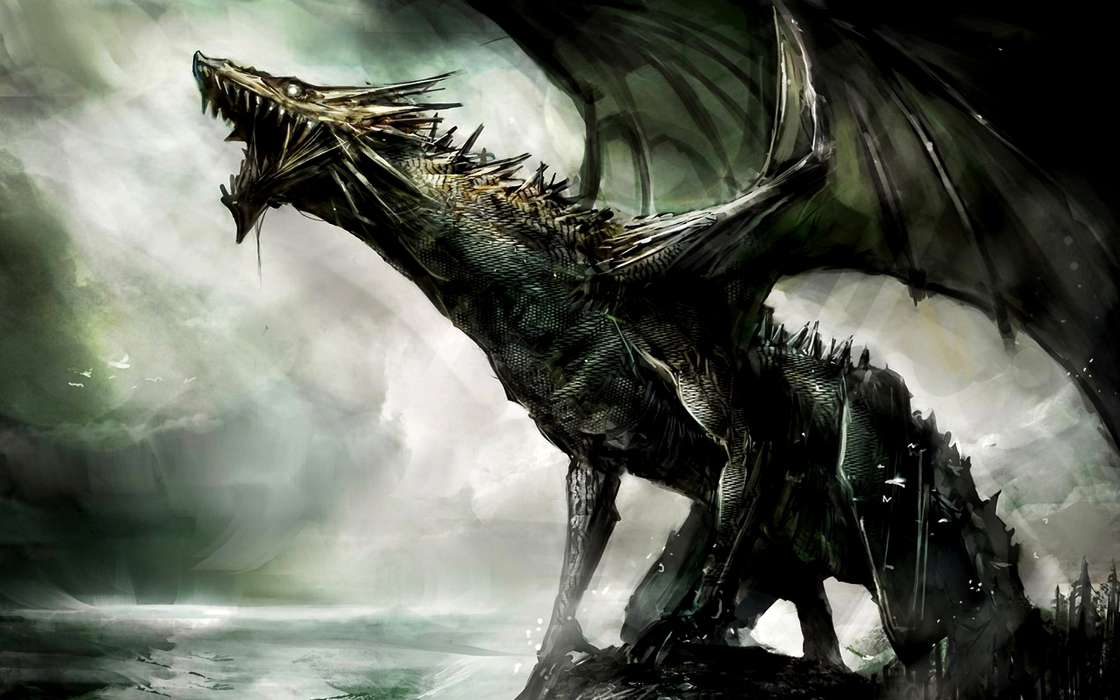 Dragons,Fantaisie