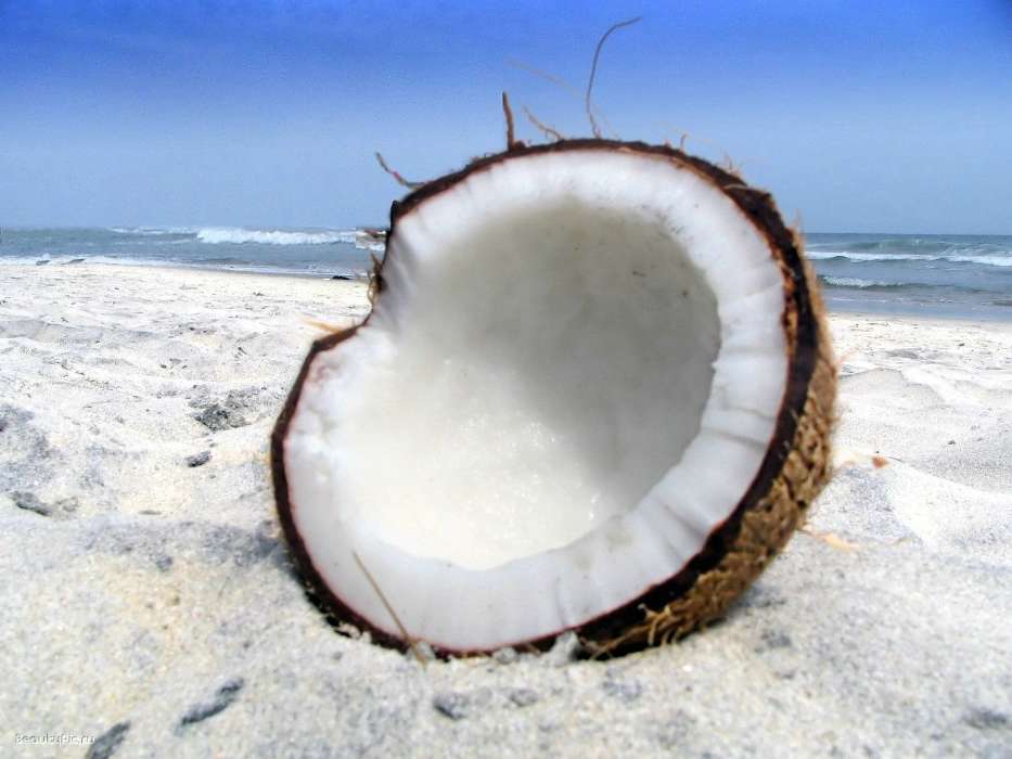 Nourriture,Coconuts