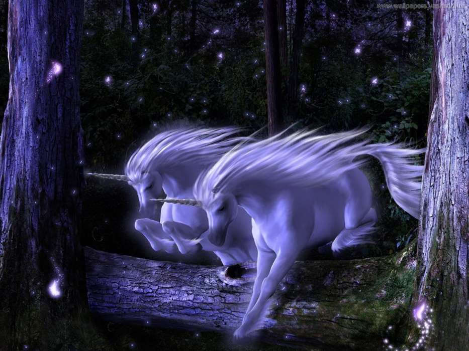 Unicorns,Fantaisie