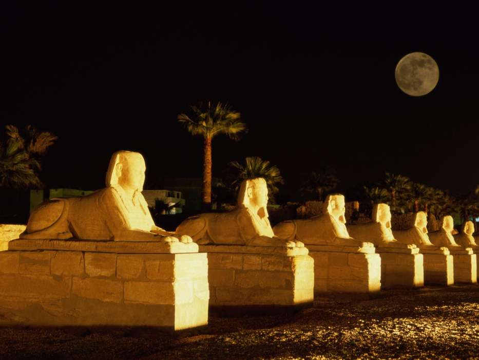 Paysage,Nuit,Égypte,Sphinx