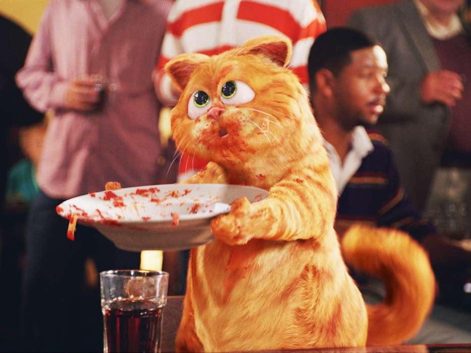 Humour,Cinéma,Animaux,Chats,Garfield