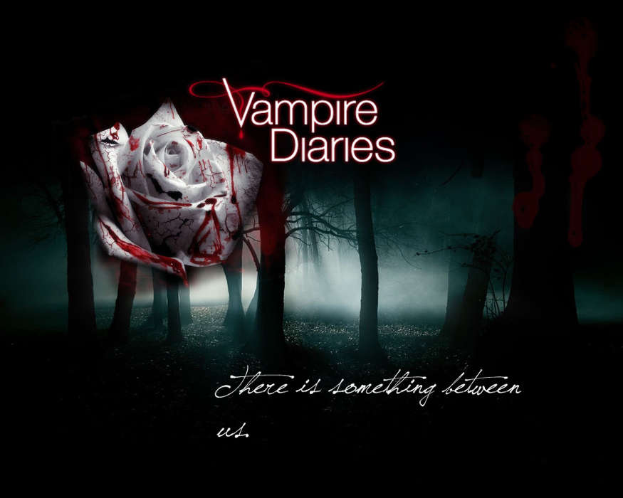 Cinéma,The Vampire Diaries