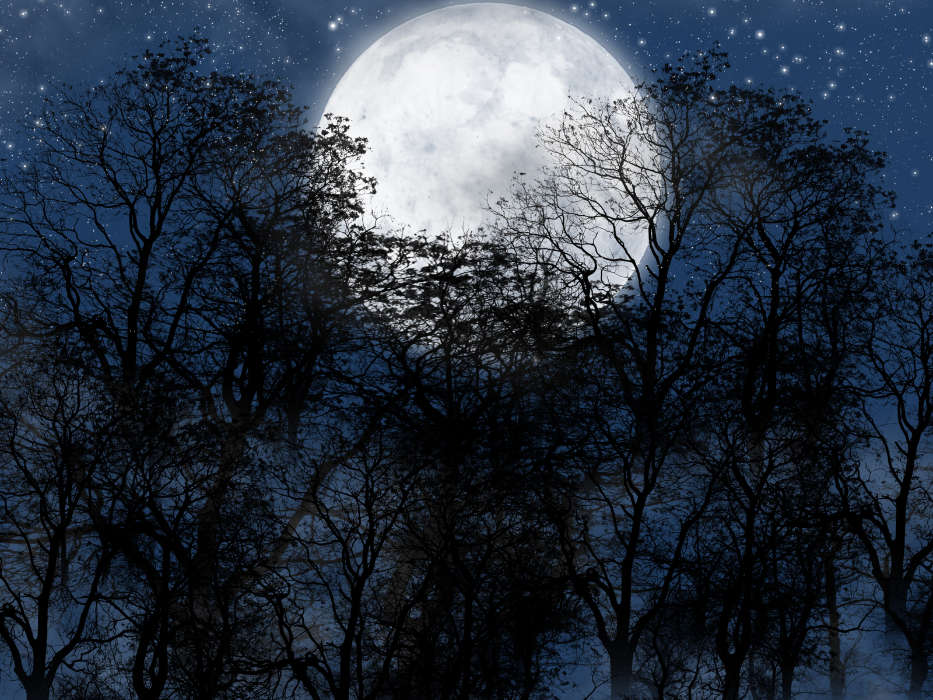 Lune,Nuit,Paysage