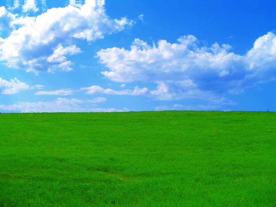 Paysage,Herbe,Sky,Nuages