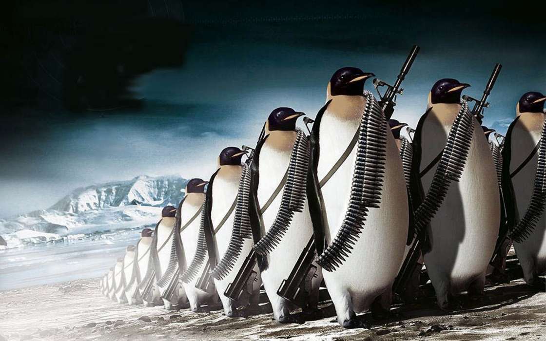 Pinguouins,Dessins,Animaux