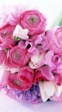 Télécharger une image Fêtes,Plantes,Fleurs,Bouquets,8 mars, journée internationale de la femme pour le portable gratuitement.