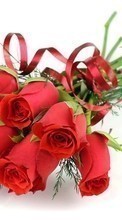 Télécharger une image 240x320 Fêtes,Plantes,Fleurs,Roses,8 mars, journée internationale de la femme pour le portable gratuitement.