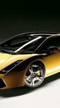 Transports,Voitures,Lamborghini pour Apple iPad 3