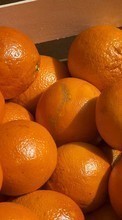 Télécharger une image 320x240 Fruits,Nourriture,Contexte,Oranges pour le portable gratuitement.