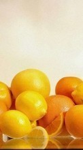 Télécharger une image Fruits,Nourriture,Citrons,Oranges pour le portable gratuitement.