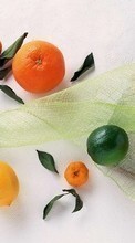 Oranges,Nourriture,Fruits,Citrons pour Samsung Omnia HD i8910