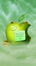 Télécharger une image Marques,Logos,Pomme,Pommes pour le portable gratuitement.