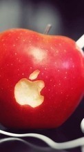 Télécharger une image Pomme,Pommes,Nourriture,Objets pour le portable gratuitement.