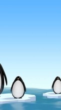 Télécharger une image Animaux,Pinguouins,Dessins pour le portable gratuitement.