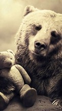 Télécharger une image Animaux,Photo artistique,Jouets,Bears pour le portable gratuitement.