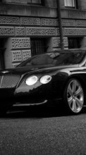 Télécharger une image 720x1280 Transports,Voitures,Bentley pour le portable gratuitement.