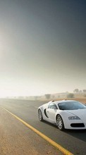 Télécharger une image 320x480 Transports,Voitures,Routes,Bugatti pour le portable gratuitement.
