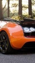 Télécharger une image Transports,Voitures,Bugatti pour le portable gratuitement.