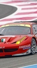 Télécharger une image Sport,Transports,Voitures,Courses,Ferrari pour le portable gratuitement.