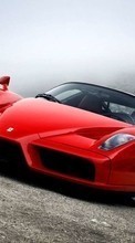 Transports,Voitures,Ferrari