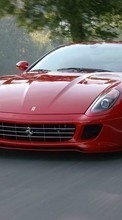 Télécharger une image 320x240 Transports,Voitures,Ferrari pour le portable gratuitement.