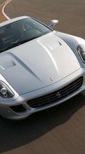 Télécharger une image 360x640 Transports,Voitures,Ferrari pour le portable gratuitement.