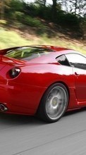 Télécharger une image 800x480 Transports,Voitures,Ferrari pour le portable gratuitement.