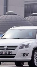 Télécharger une image Transports,Voitures,Volkswagen pour le portable gratuitement.