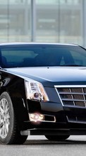 Transports,Voitures,Cadillac pour LG C105