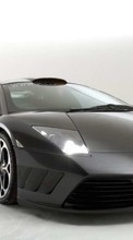 Télécharger une image 240x320 Transports,Voitures,Lamborghini pour le portable gratuitement.