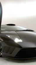 Télécharger une image 360x640 Transports,Voitures,Lamborghini pour le portable gratuitement.