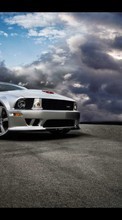 Transports,Voitures,Mustang