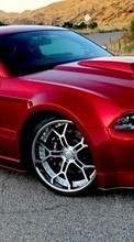 Télécharger une image Mustang,Transports,Voitures pour le portable gratuitement.