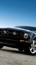 Télécharger une image Voitures,Mustang,Transports pour le portable gratuitement.
