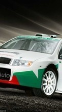 Transports,Voitures,Skoda pour Fly Spark IQ4404