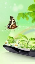 Télécharger une image 480x800 Papillons,Insectes,Dessins pour le portable gratuitement.