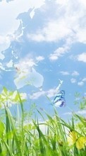 Télécharger une image Paysage,Papillons,Herbe,Sky pour le portable gratuitement.