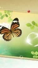Télécharger une image 800x480 Papillons,Dessins pour le portable gratuitement.