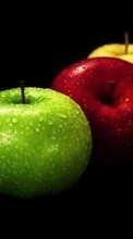 Télécharger une image Fruits,Nourriture,Pommes pour le portable gratuitement.