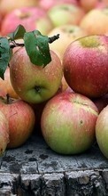 Fruits,Nourriture,Pommes pour Lenovo A369i