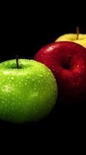Télécharger une image Pommes,Nourriture,Fruits pour le portable gratuitement.