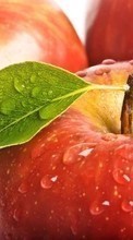 Télécharger une image Fruits,Nourriture,Pommes,Drops pour le portable gratuitement.