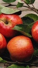 Télécharger une image Plantes,Fruits,Nourriture,Pommes pour le portable gratuitement.